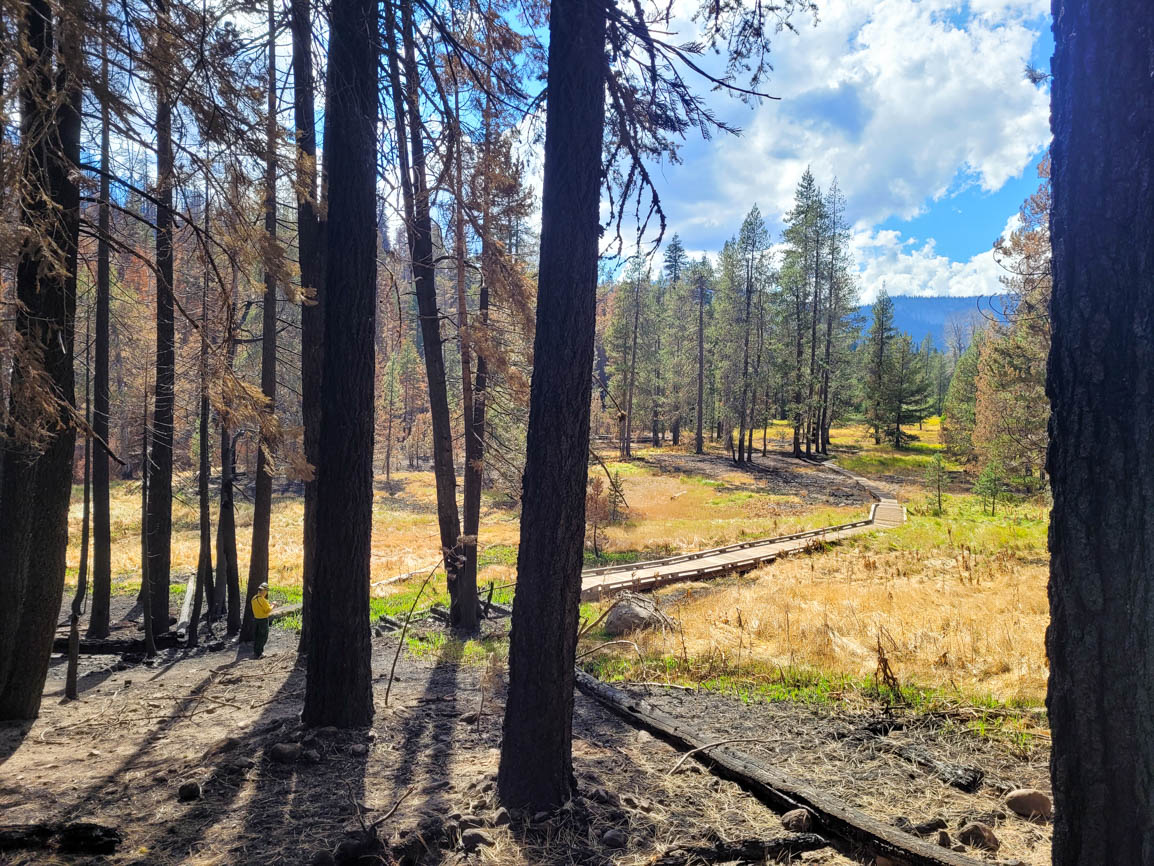 Casi el 70% del Parque Nacional Volcánico Lassen quemado por Fire Wildfire - 11