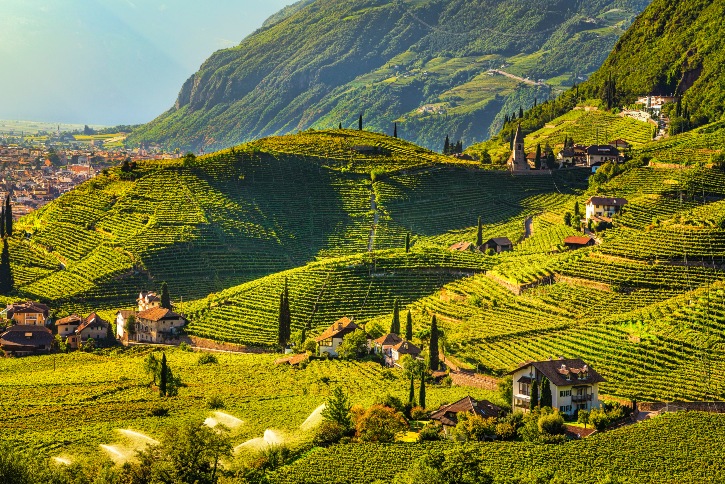 20 mejores regiones vinícolas en Italia: disfrute de viñedos y más - 25