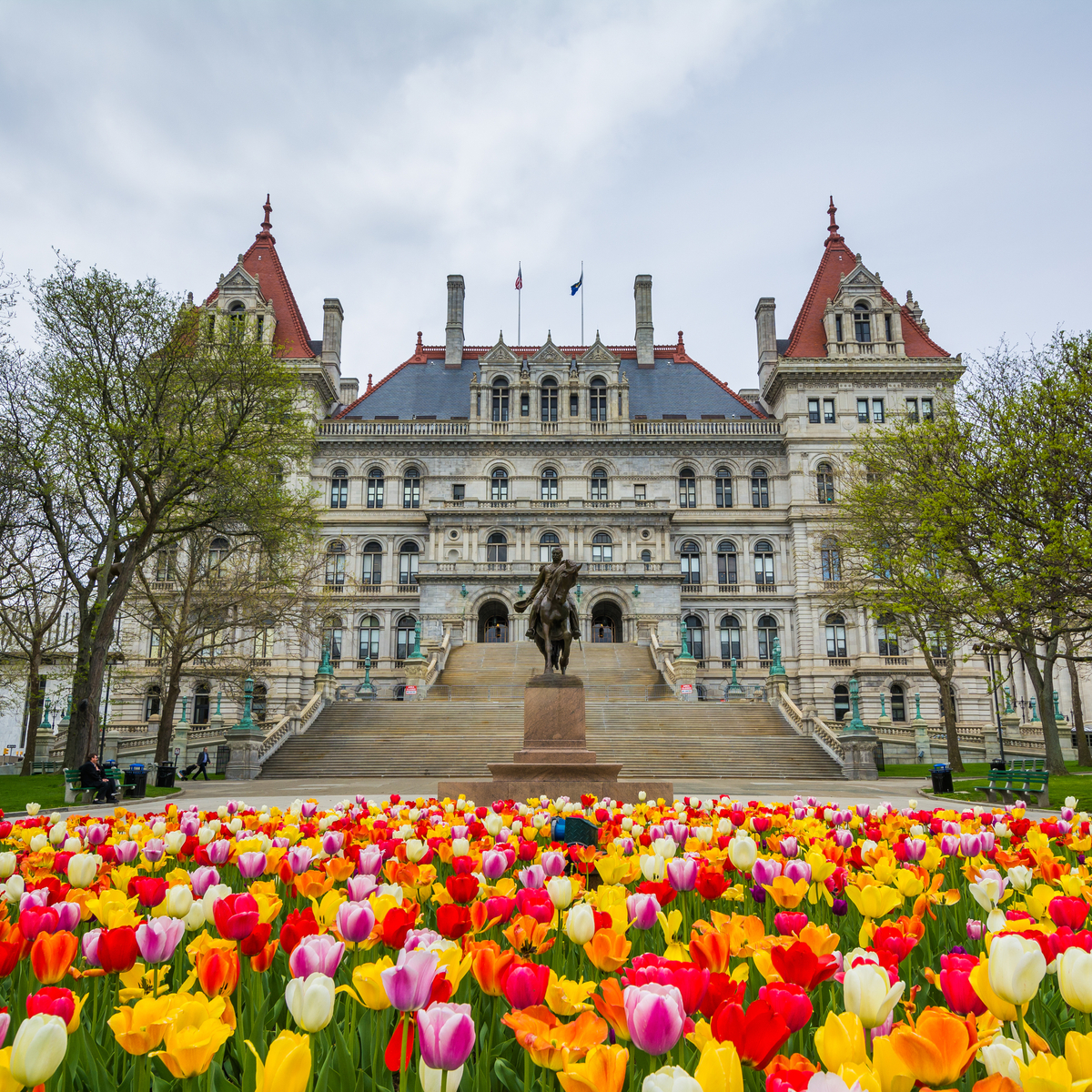 Los 8 mejores festivales de tulipán en los EE. UU. - 17