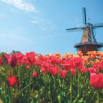 Los 8 mejores festivales de tulipán en los EE. UU.