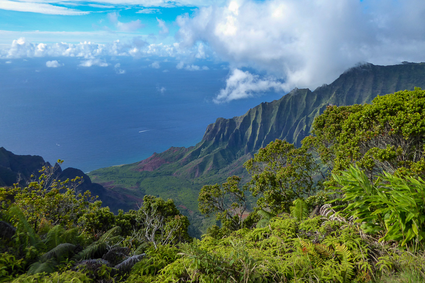 Esta es la mejor época del año para visitar Hawaii: Big Island, Oahu, Maui y Kauai | Esta web - 13