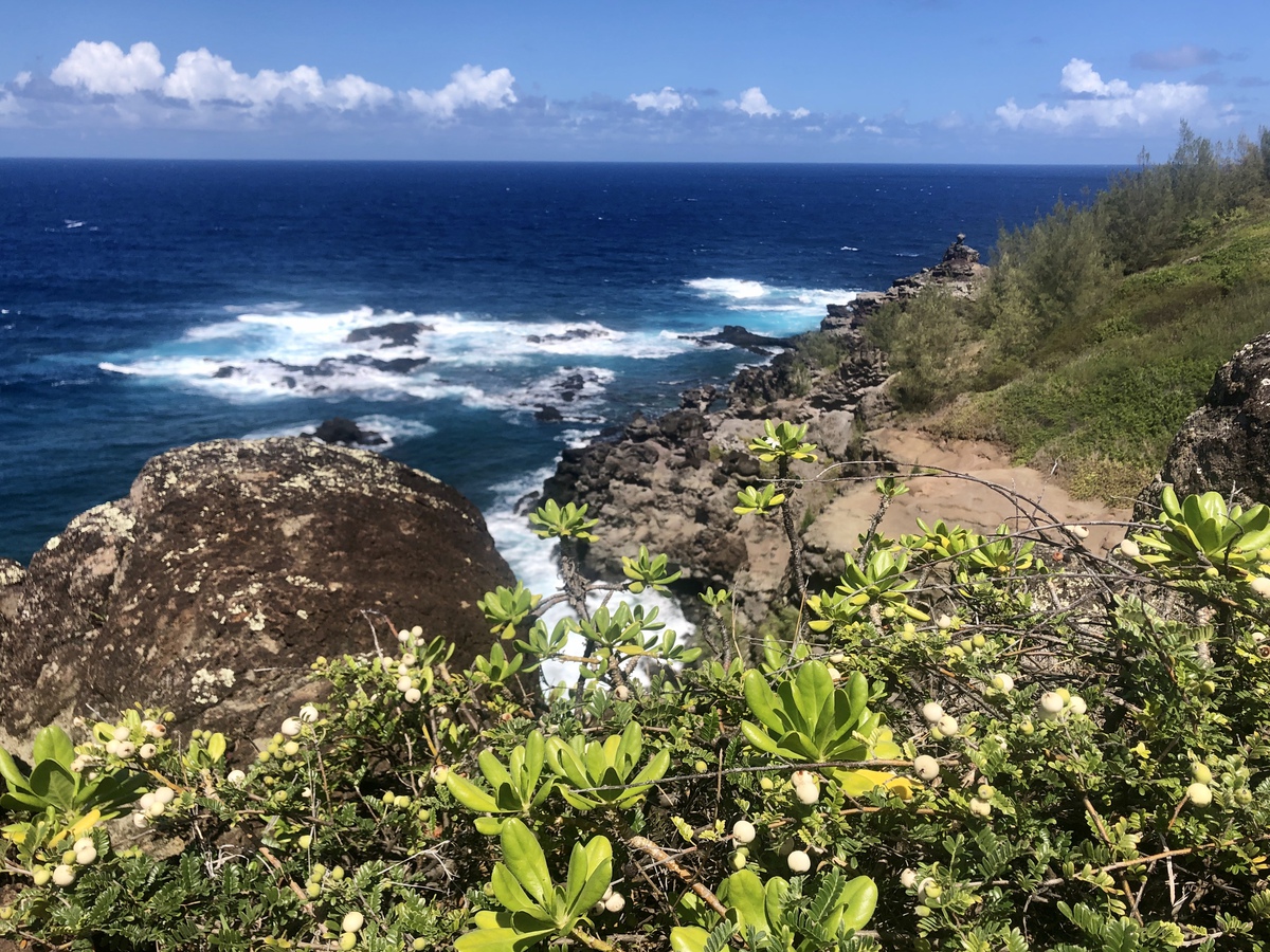 Las mejores cosas para ver y hacer en Maui - 133