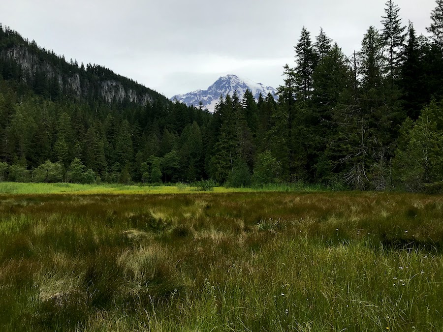 7 mejores caminatas en el Parque Nacional Mount Rainier - 9