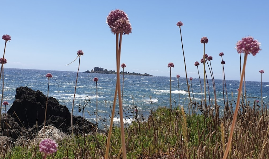 Las Islas Diapontia: el secreto mejor guardado de Grecia - 17