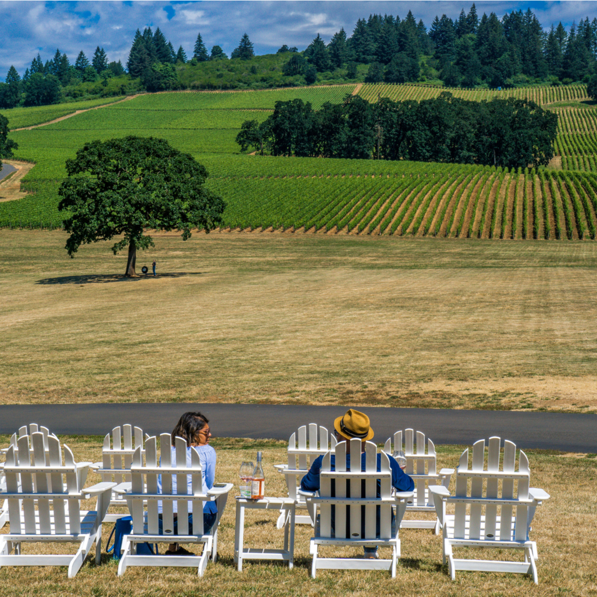 Degustación de vinos en el valle de Willamette de Oregon: 9 cosas que saber - 7