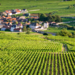 8 fantásticos recorridos por vinos para experimentar en Francia