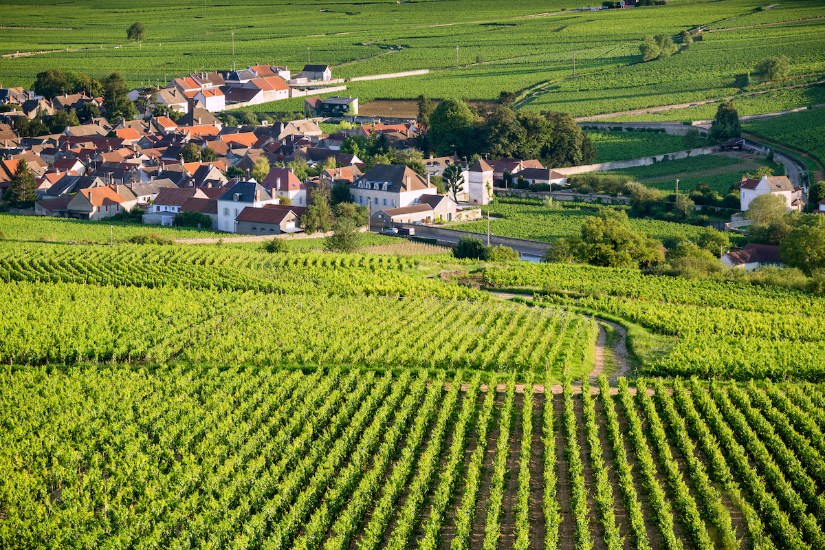 8 fantásticos recorridos por vinos para experimentar en Francia - 319