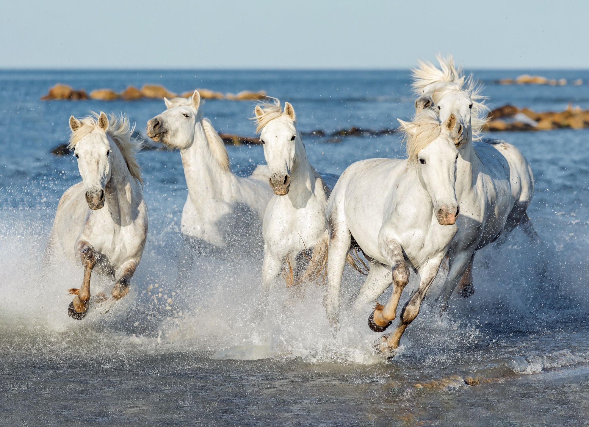 8 lugares para ver caballos salvajes en todo el mundo - 15