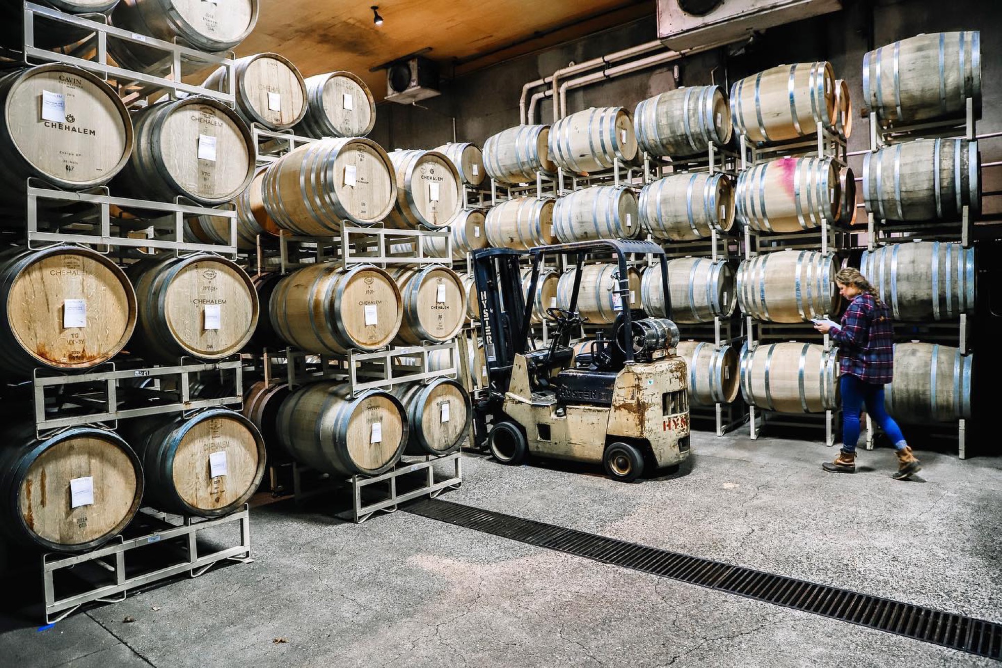 Degustación de vinos en el valle de Willamette de Oregon: 9 cosas que saber - 11
