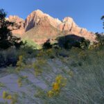 Viaje por carretera de Utah: 9 mejores paradas de Zion a Moab
